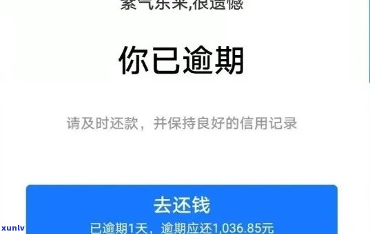 借呗逾期31天了，紧急提醒：您的借呗已经逾期31天，请尽快还款！