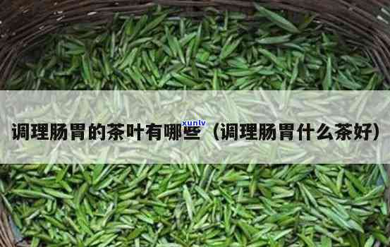 哪种茶叶养胃助消化效果好？比较分析