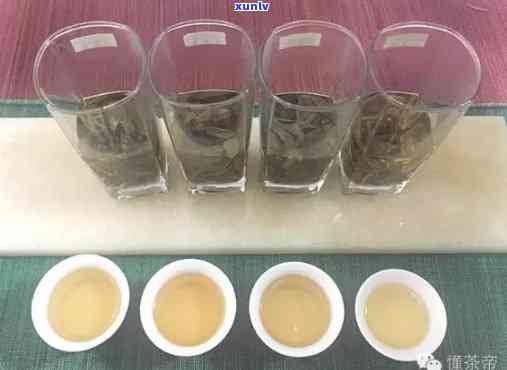 探究茶叶泡成茶水的变化过程