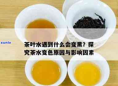 探究茶叶泡成茶水的变化过程