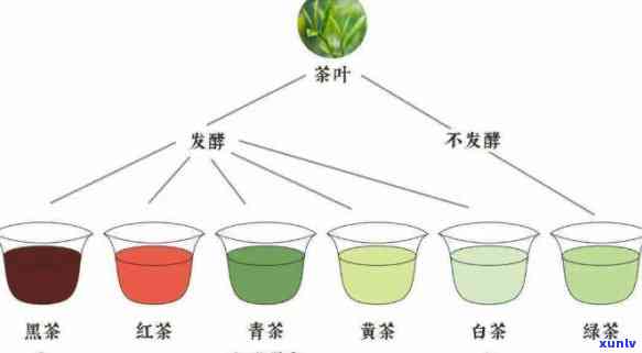 泡茶过程茶叶的变化-泡茶过程茶叶的变化图