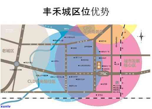 张路茶叶市场规划-张路茶叶市场规划图