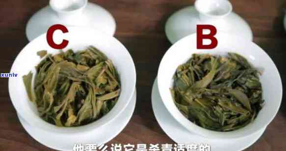 怎么认识茶叶的好坏视频教程：全面讲解茶叶品质鉴别 *** 