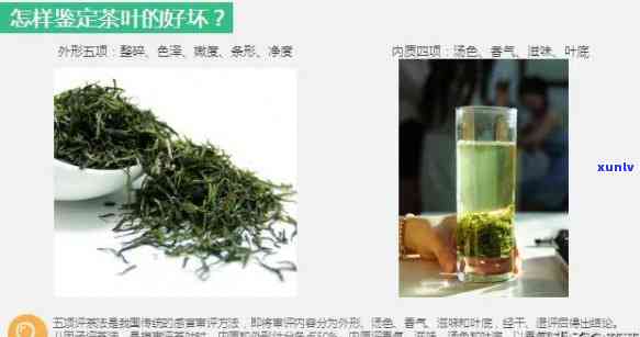 怎么认识茶叶的好坏视频教程：全面讲解茶叶品质鉴别 *** 