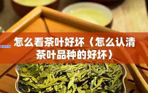 茶叶的好坏怎么看，茶叶好坏的判断标准与 *** 