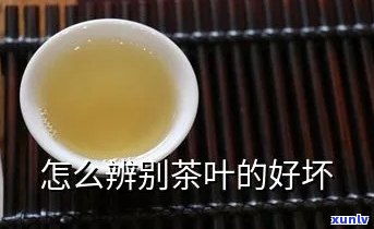 如何判定茶叶好坏：全面解析视频