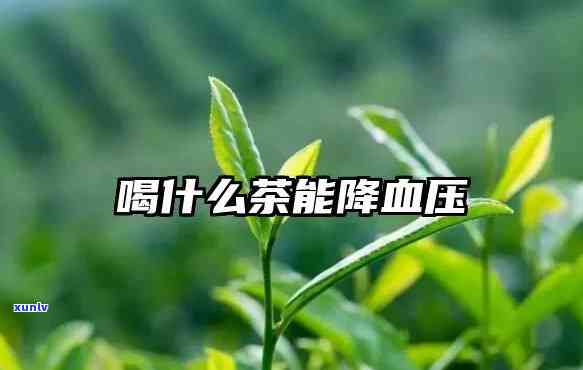 什么茶降血压效果比较好，探讨：哪些茶叶具有显著的降血压效果？