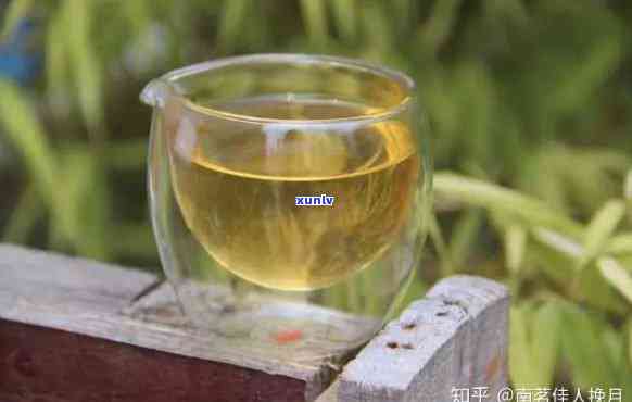 运动后可以喝茶叶茶吗？探讨其对女性的影响