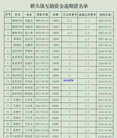 全面解析互助资金逾期借款整改方案