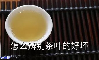 如何判定茶叶好坏：视频与图片教程