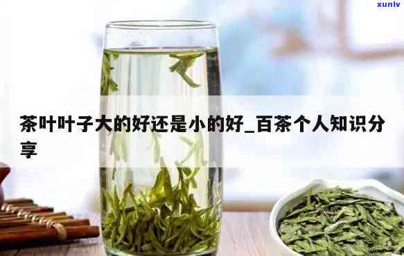 茶叶叶子大好还是叶子小好，茶叶：叶片大小对品质的影响？