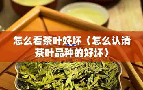 怎么辨认茶叶的好坏-怎么辨认茶叶的好坏视频