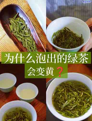 泡茶起来茶叶变黄：还能喝吗？原因与性解析