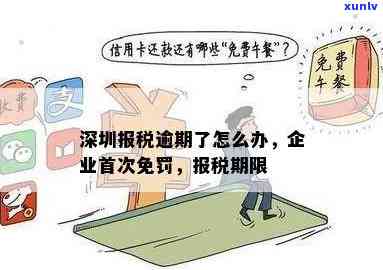 深圳纳税人报税逾期-深圳纳税人报税逾期怎么处理