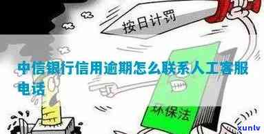 怎样拨打中信逾期紧急联系人  ？联系方法是多少？