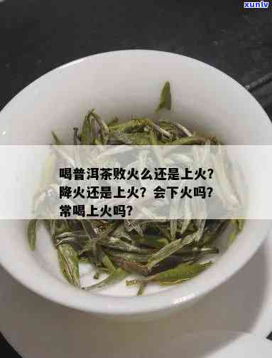 喝茶叶上火还是败火呢，茶叶是上火还是败火？你需要知道的答案！