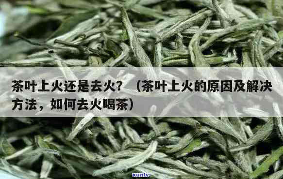 茶叶茶上火还是降火呢，茶叶是上火还是降火？一文告诉你答案