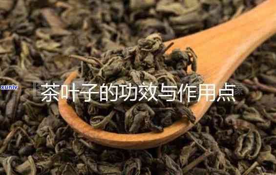 茶叶的子叫什么-茶叶的子叫什么为啥中间有两条缝隙