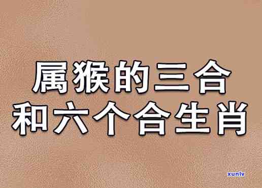 招商银行信用卡还款逾期，如何解决？资讯攻略助您一臂之力！