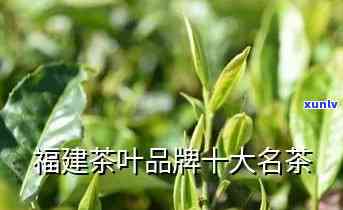 福建福州特产茶叶大全：详细介绍及推荐