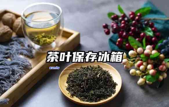 保茶叶买什么冰箱-保茶叶买什么冰箱好