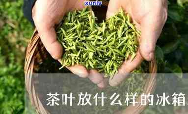 保茶叶买什么冰箱-保茶叶买什么冰箱好