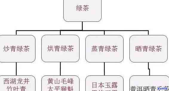 肃特产茶：揭秘肃特色茶叶种类