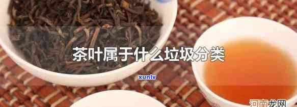 湿茶叶属于什么垃圾分类类别，湿茶叶应归入哪种垃圾分类？