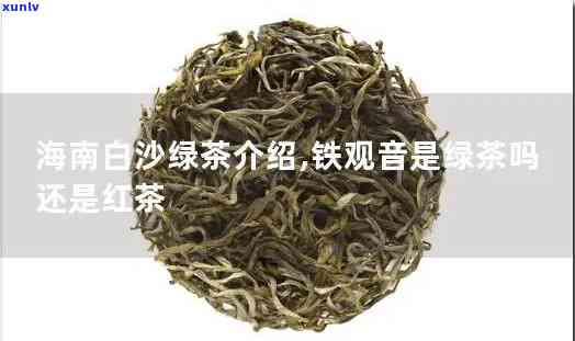 海南白沙茶叶是什么茶，「海南白沙茶叶」：探寻这款神秘的茶叶种类