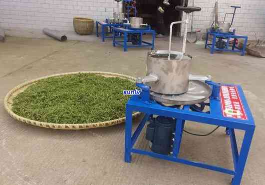 电动木头茶叶揉捻机-电动木头茶叶揉捻机怎么用