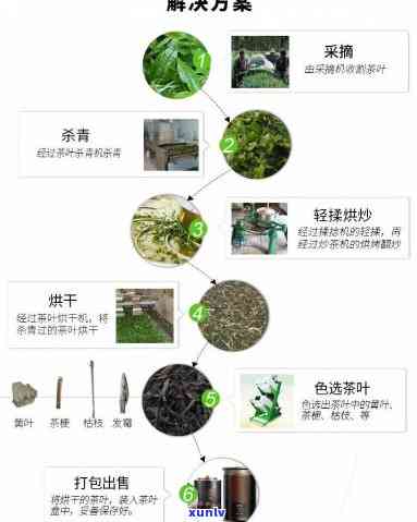 捷迅茶叶色选机的价格，捷迅茶叶色选机的市场价格是多少？