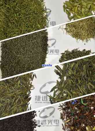 捷迅光电色最新款茶叶色选机，新品推荐：捷迅光电的茶叶色选机，让你轻松挑选优质茶叶