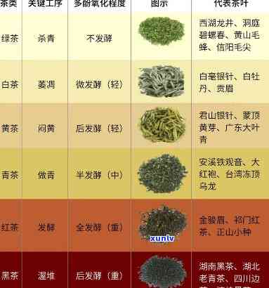 怎样区分茶叶的等级-怎样区分茶叶的等级和品种