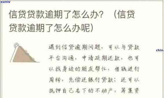 深圳普逾期怎么办理，怎样解决深圳普的逾期疑问？