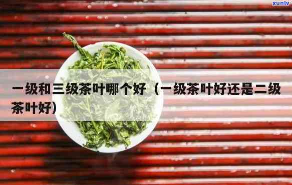 茶叶一级或三级？哪个更好？