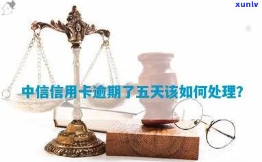 中信不小心逾期五天-中信不小心逾期五天怎么办