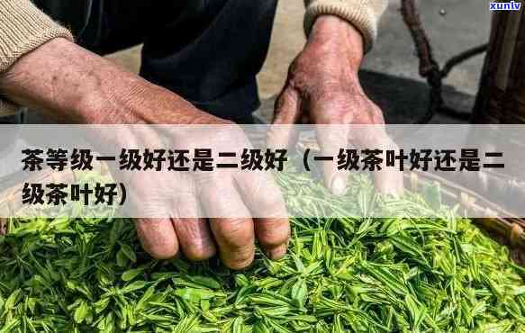 茶叶特二级和特一级-茶叶特二级和特一级哪个好