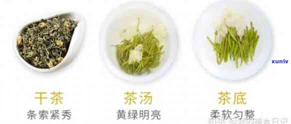 裕泰茉莉茶叶等级-裕泰茉莉茶叶等级划分