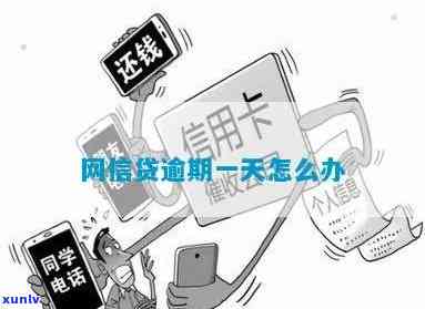 网信普消费贷逾期-网信普消费贷逾期怎么办