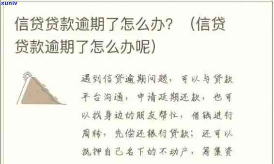 网信普消费贷逾期-网信普消费贷逾期怎么办