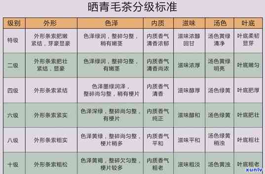 茶叶包装标准规：最新要求与详细说明