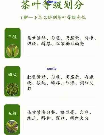 怎么分辨茶叶的等级-怎么分辨茶叶的等级高低