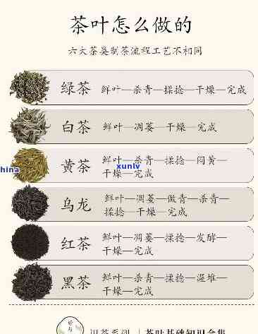 怎么分辨茶叶的等级-怎么分辨茶叶的等级高低