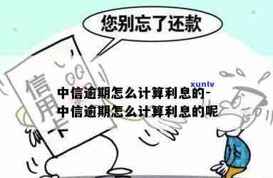 老虎吊坠的寓意与象征：适合什么生肖人戴？