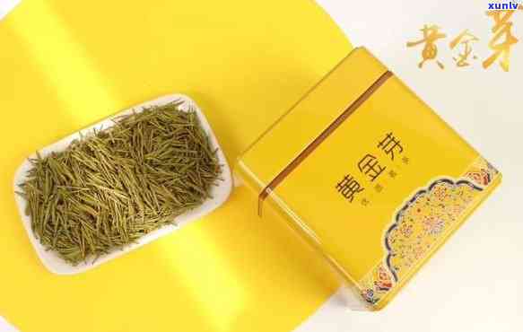 黄金芽茶叶属于高端吗，黄金芽茶叶：高端中的瑰宝？