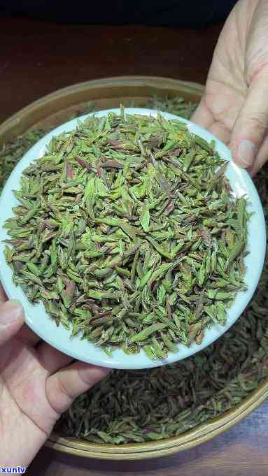 降血压的茶叶叫什么芽子，寻找降血压神器：你知道“芽子”茶吗？