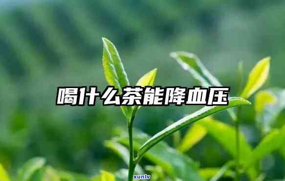 降血压的茶叶叫什么-降血压的茶叶叫什么名字