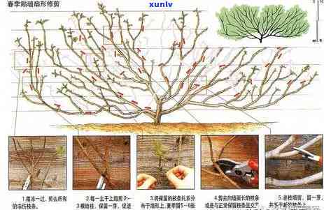 度小满有钱花逾期一天会怎样？是不是会上？逾期三个月会被起诉吗？熟悉宽限期、期还款政策。