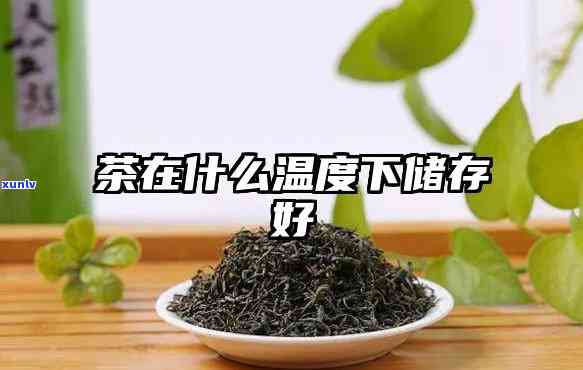 茶叶零下多少度-茶叶零下多少度存