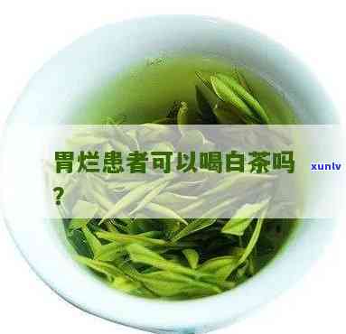 胃烂能喝茶叶茶吗女性，女性胃烂患者是否适合饮用茶叶茶？